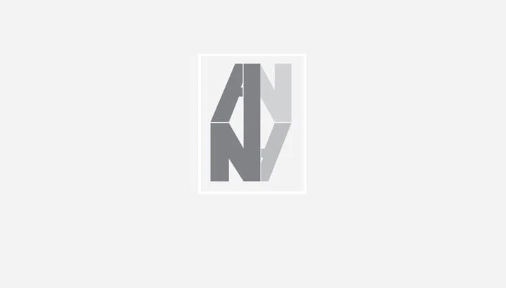 Anna logo