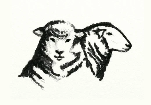 Logo-Moutons-Association