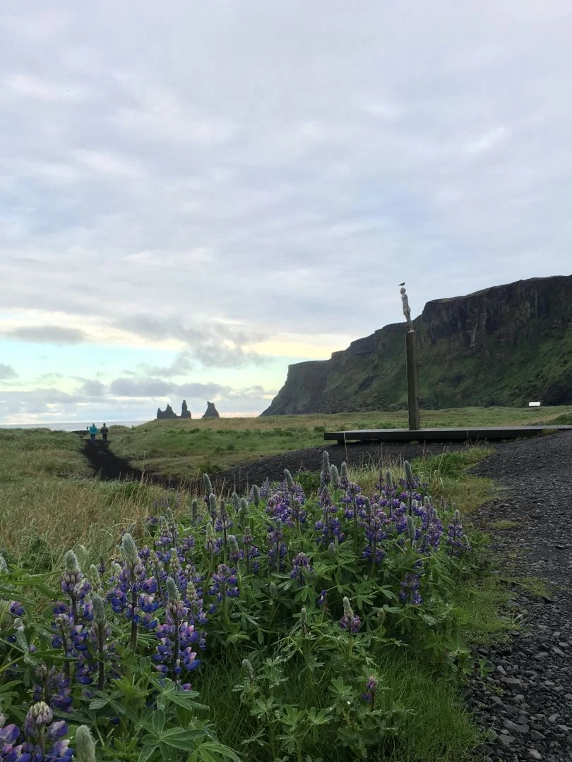 Iceland Tour - Day 1