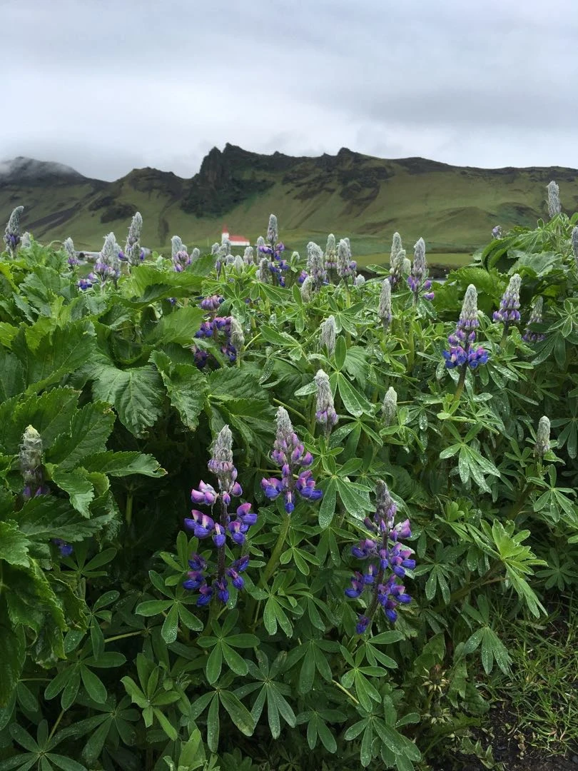 Iceland Tour - Day 1