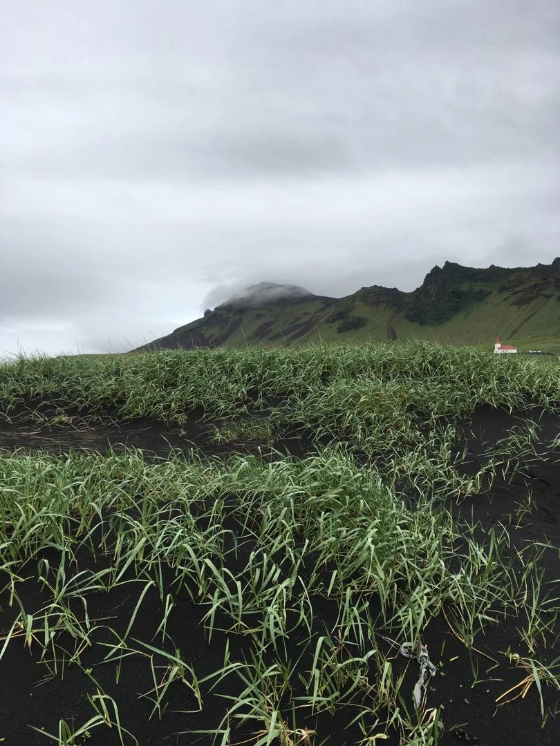 Iceland Tour - Day 1