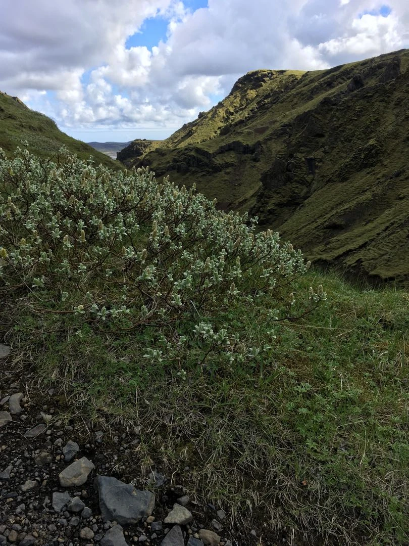 Iceland Tour - Day 3