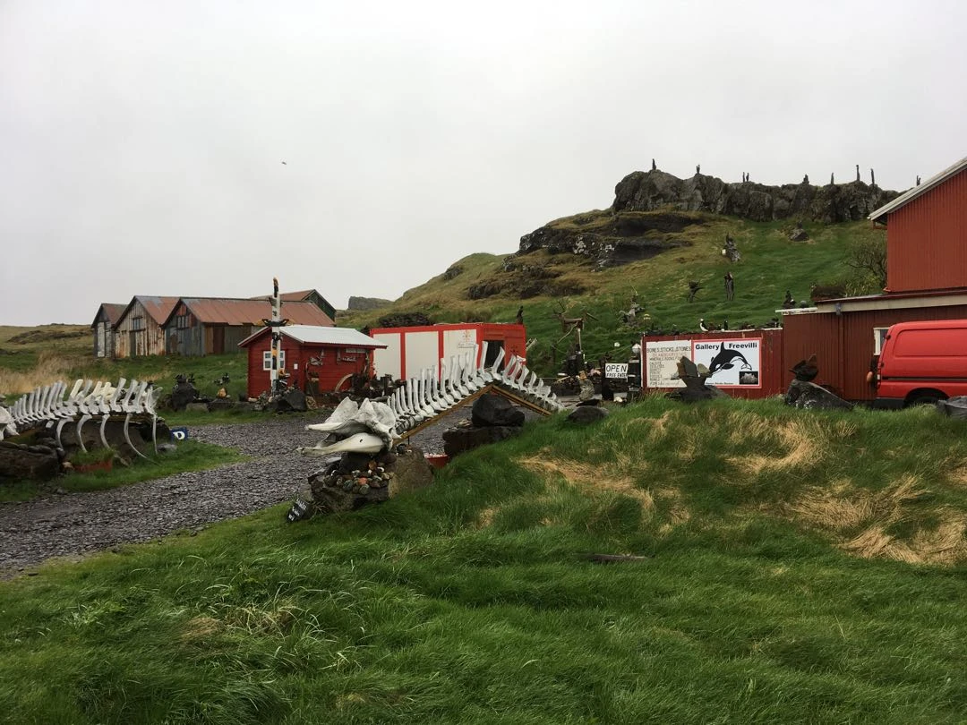 Iceland Tour - Day 4