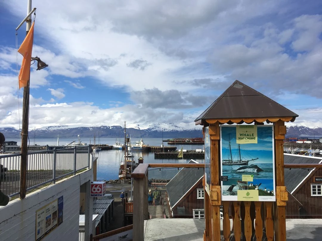 Iceland Tour - Day 6