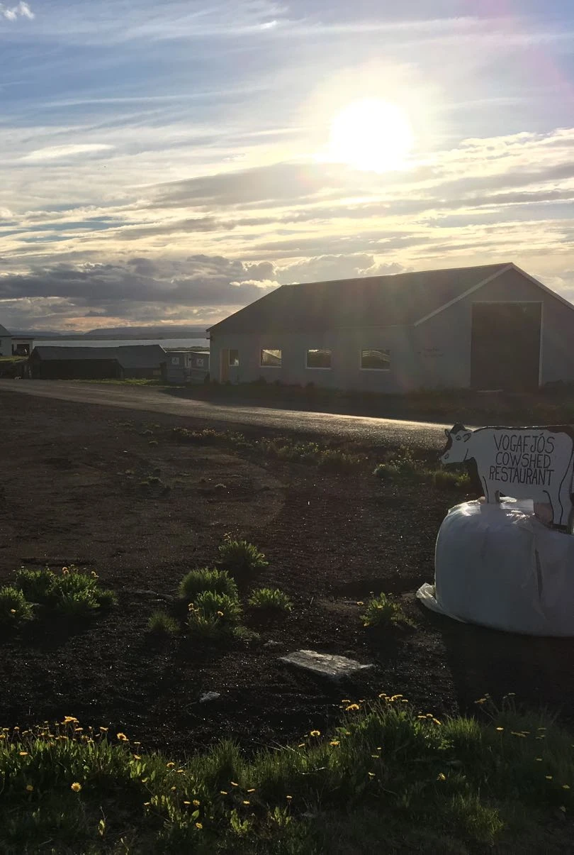 Iceland Tour - Day 6