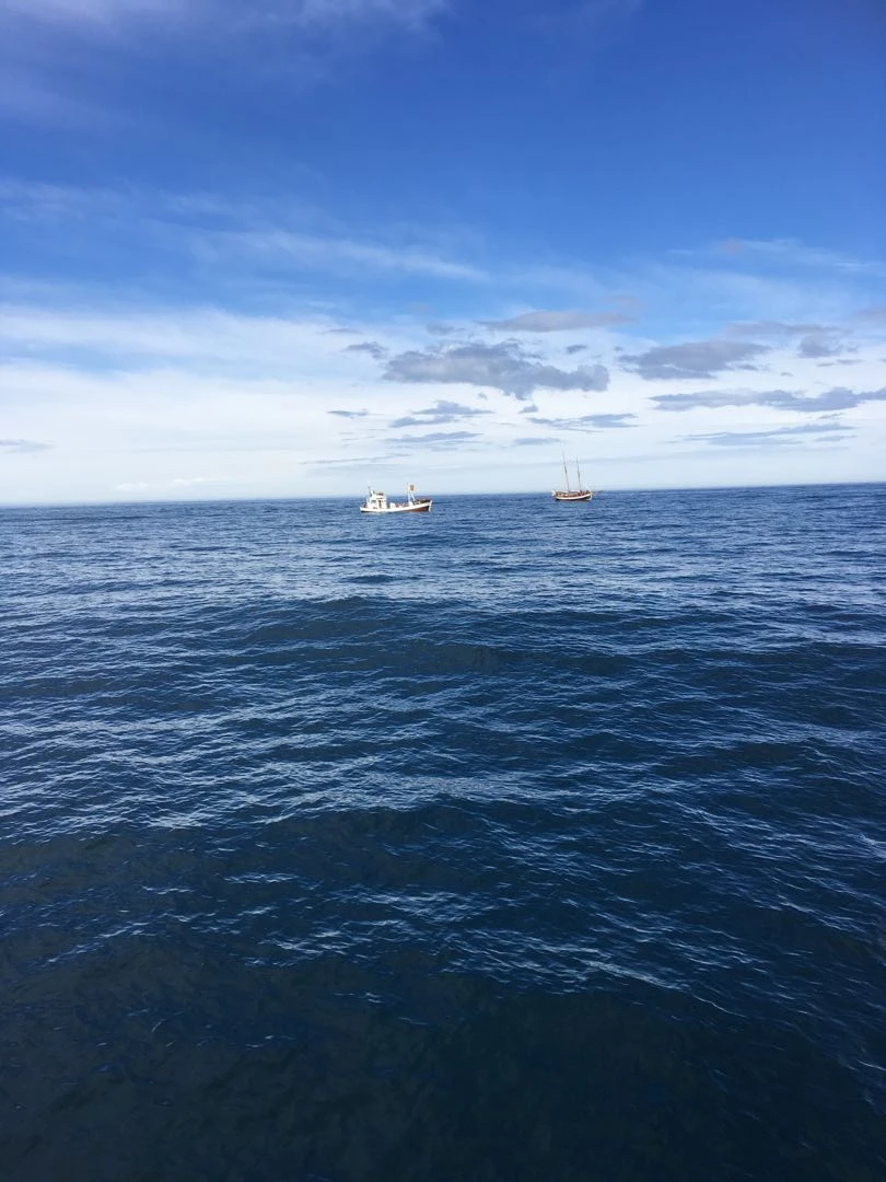 Iceland Tour - Day 6
