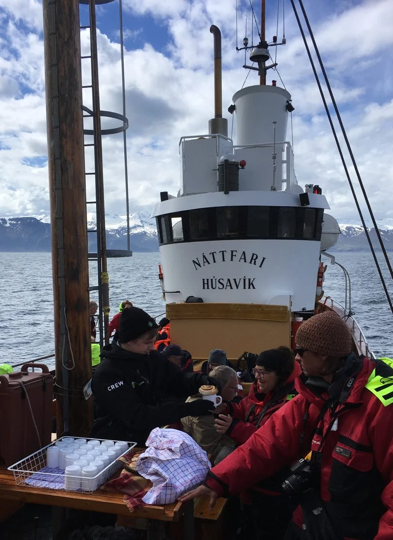 Iceland Tour - Day 6