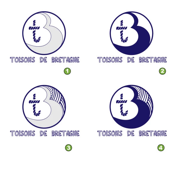 Logos-Toisons-de-Bretagne-ideas