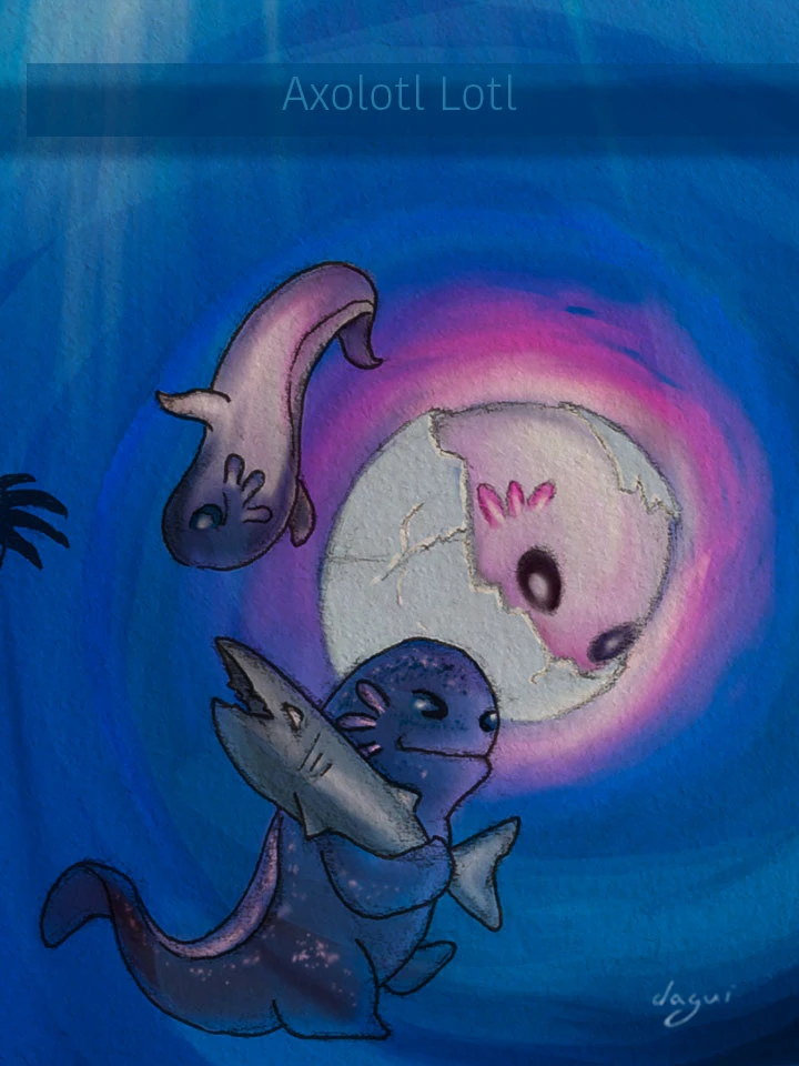 Axolotl History Axolotl-Lotl