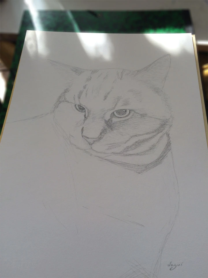 Cat Chat sketch 1