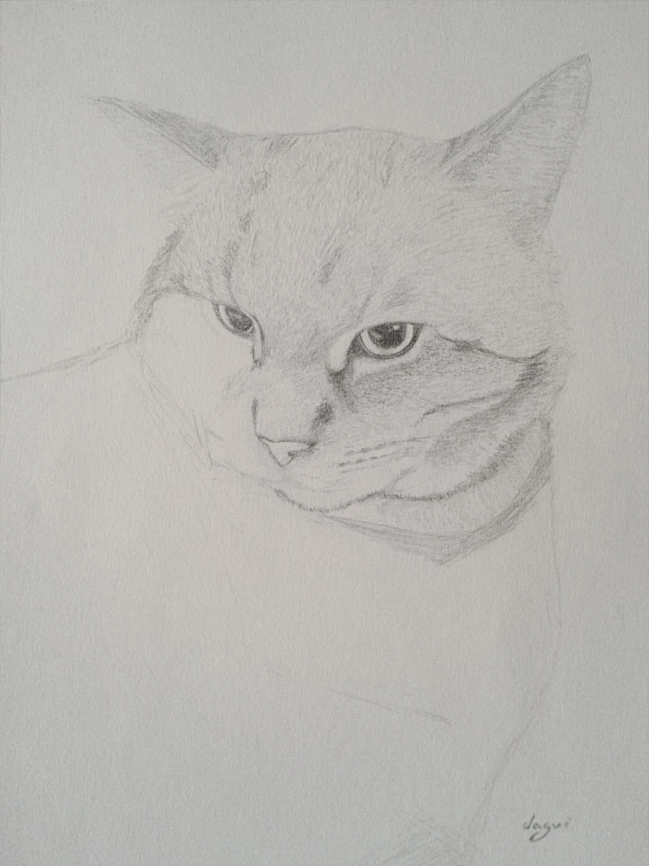 Cat Chat sketch 2