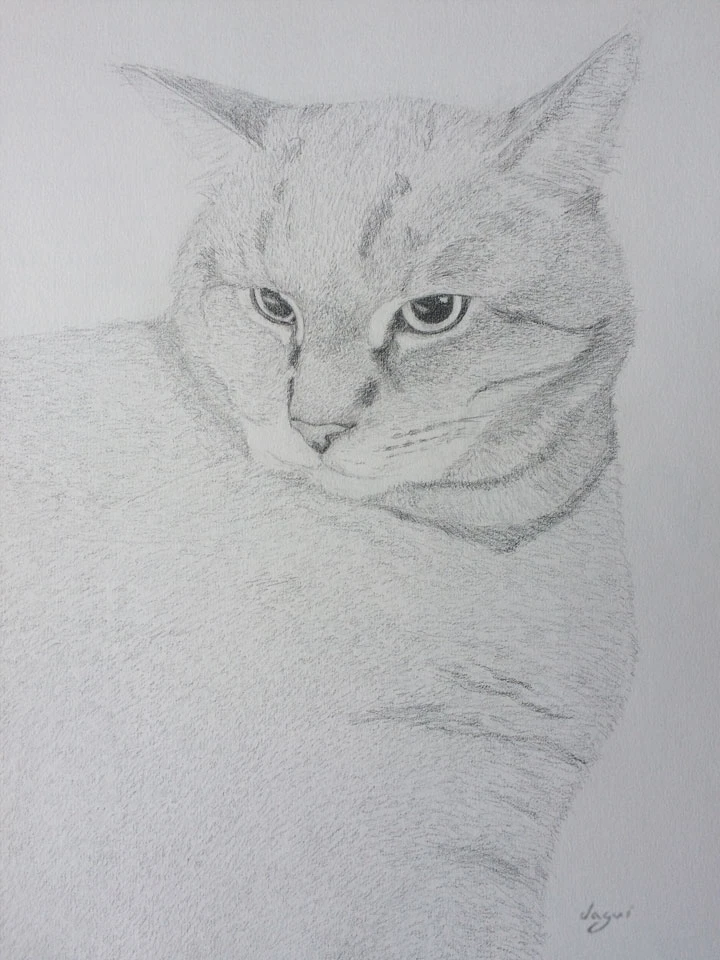 Cat Chat sketch 4