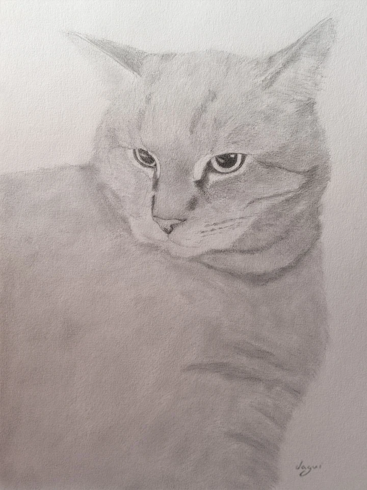 Cat Chat sketch 5