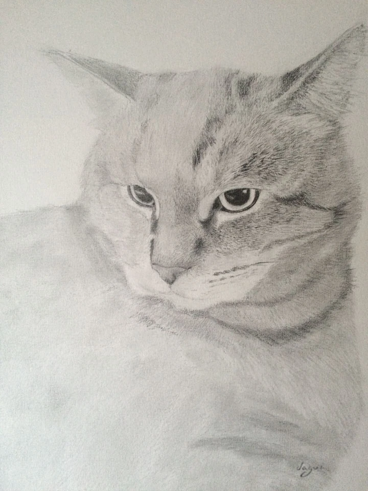 Cat Chat sketch 7