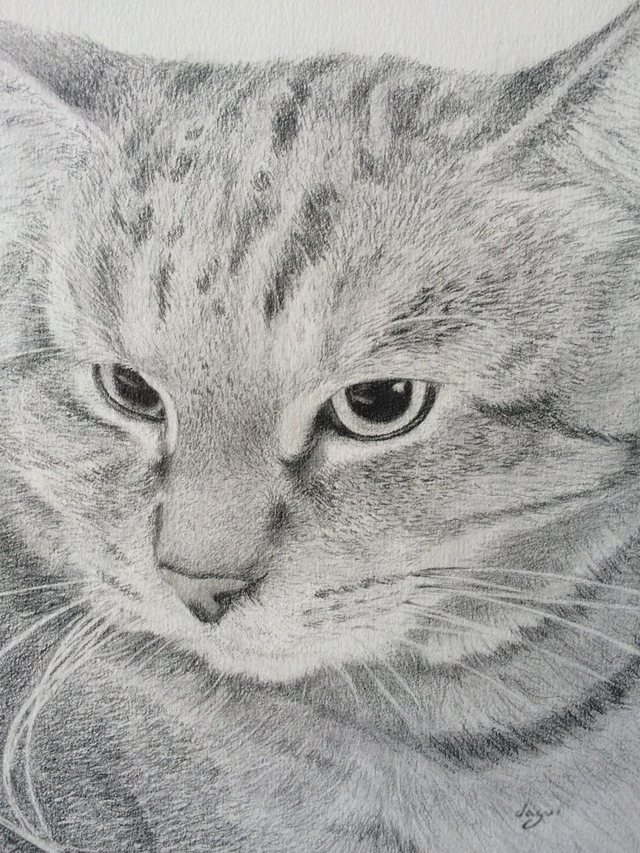 Cat Chat sketch 8
