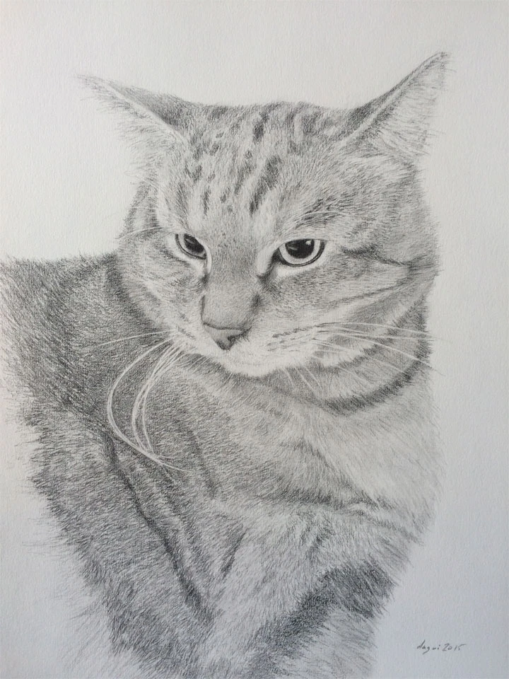 Cat Chat sketch 9