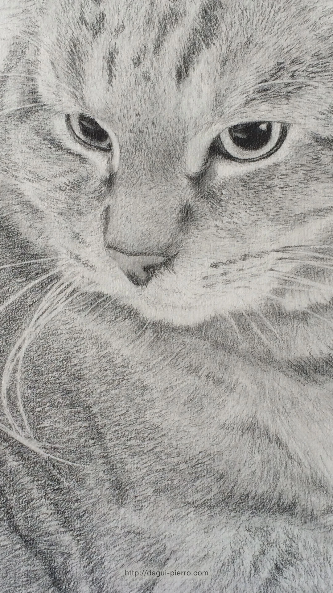 Cat Chat wallpaper portrait