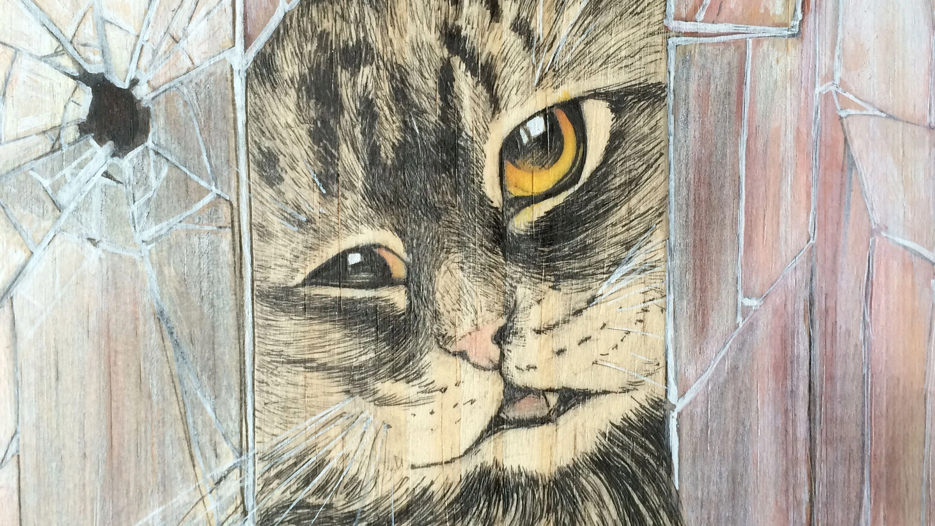 Header Crazy Cat