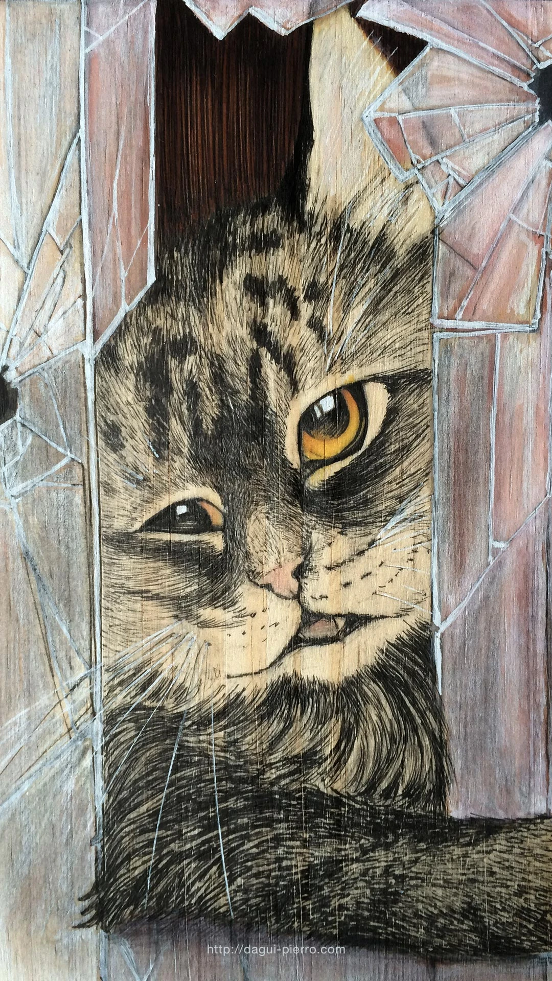 Crazy Cat wallpaper portrait