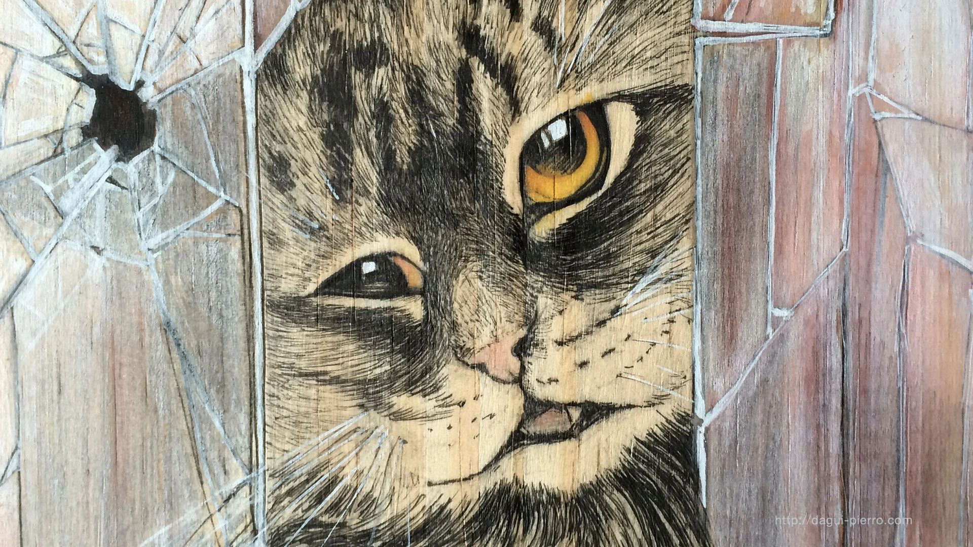Crazy Cat wallpaper landscape