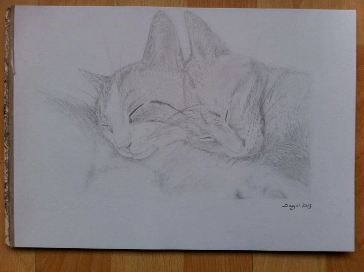 Natacha cats