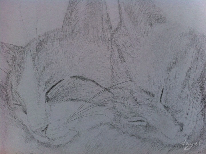 Natacha cats 2