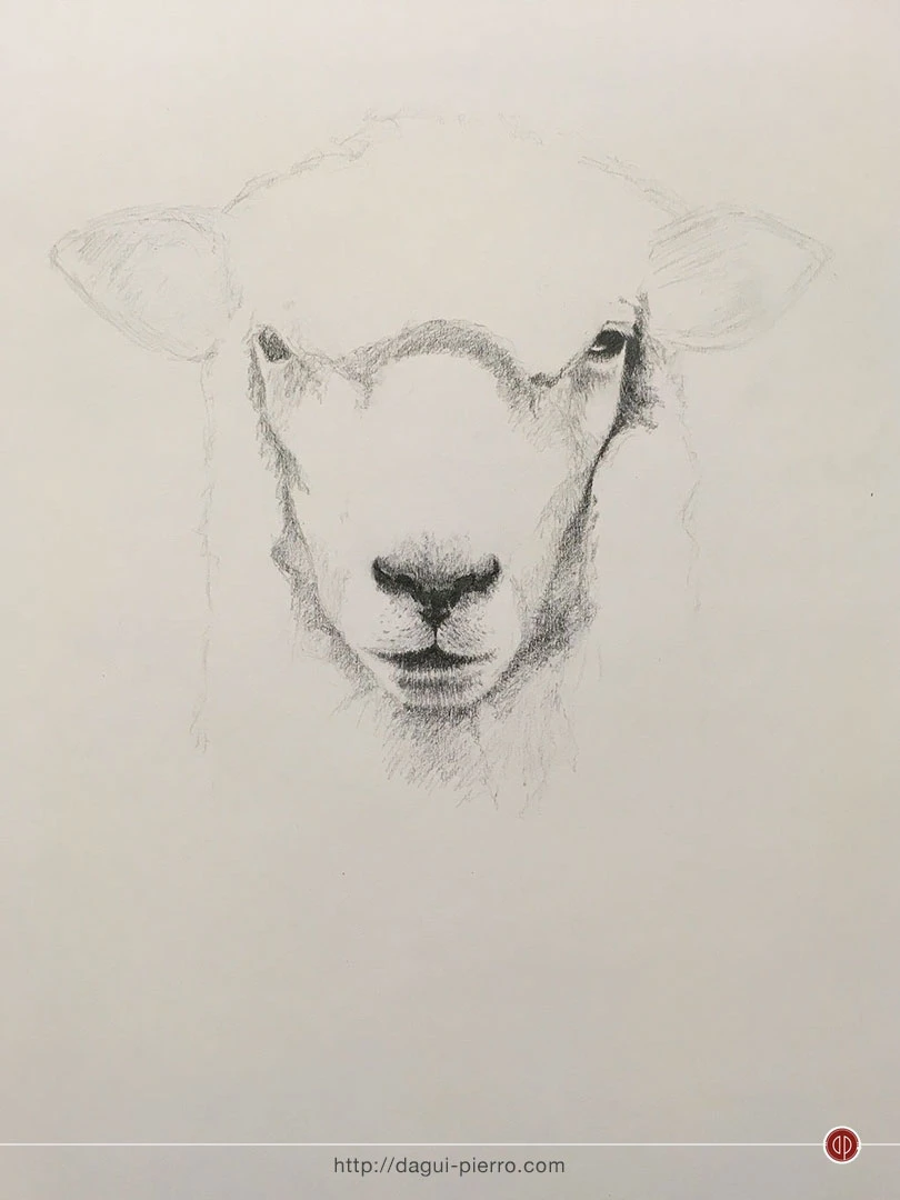 Hippie Sheep 3