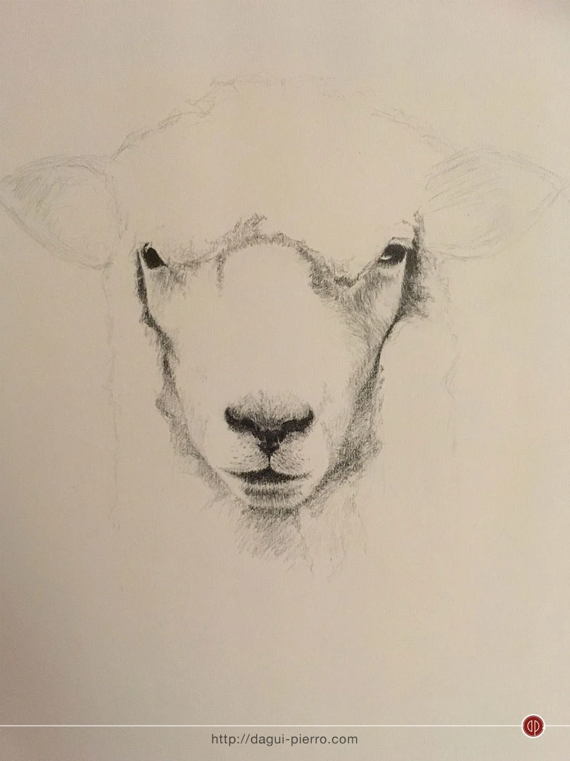 Hippie Sheep 4