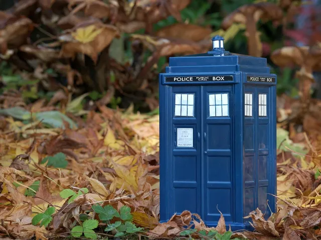 Person of Interest Tardis