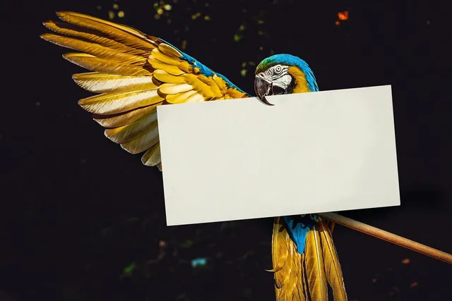 Thank You Happy Holidays Card final card - animated gif
