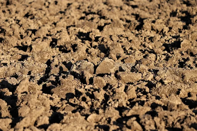 Earth Ink