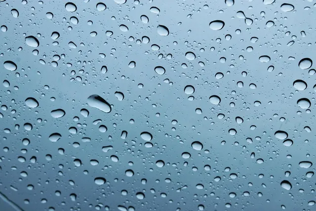 Header Singin In The Rain