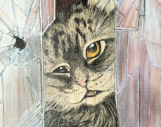 Crazy Cat